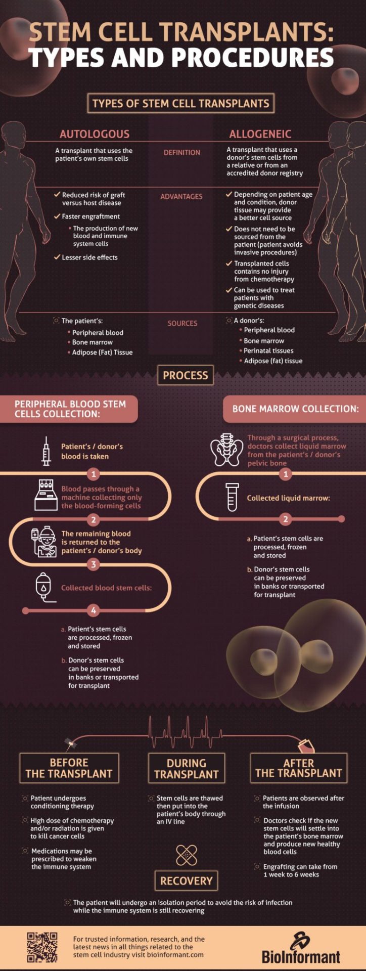 infographic | Stem Cell Transplants: Types and Procedures