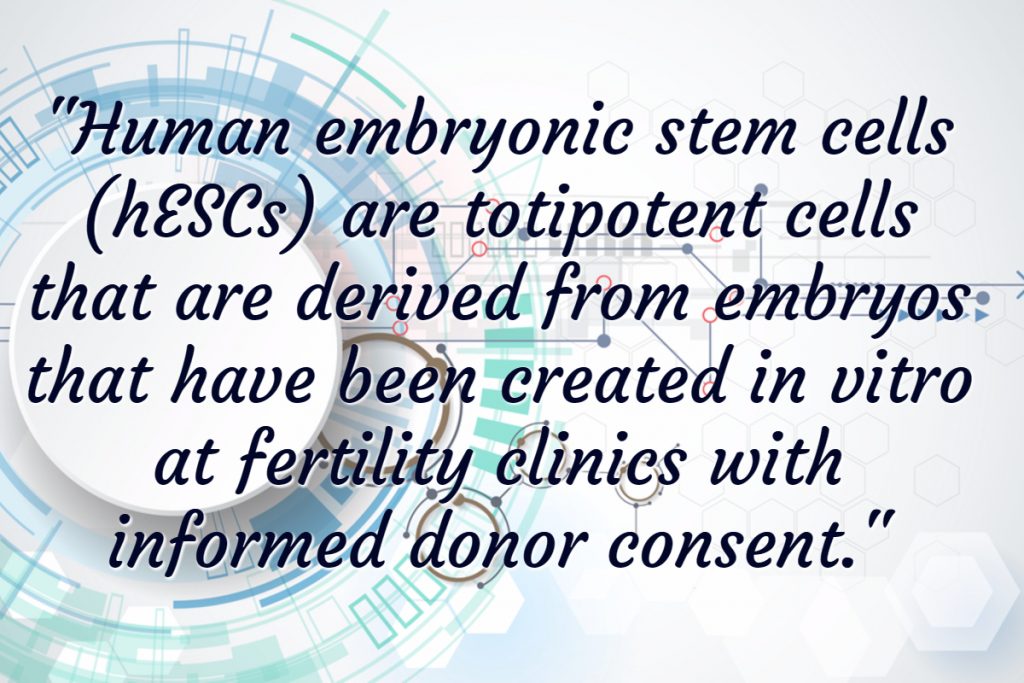 Human Embryonic Stem Cells (Totipotent Perinatal Stem Cell)