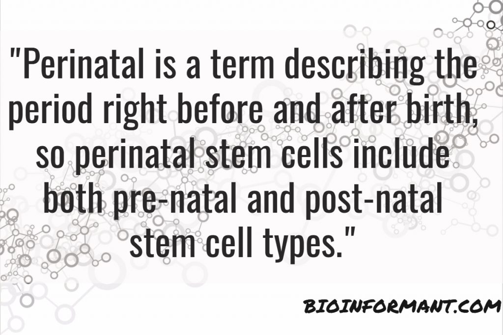 Perinatal Stem Cell Definition