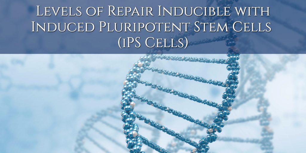 Levels of iPS Cell Repair