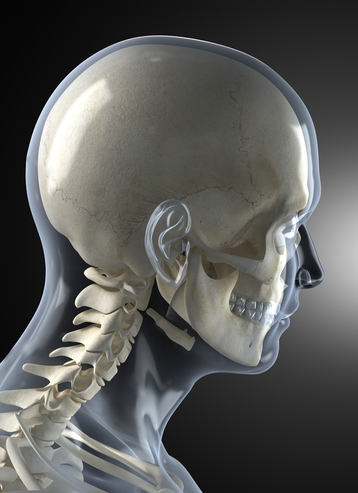 3 Bullet Thursday - 3D Printing Skulls, Stem Cell Legos, and More