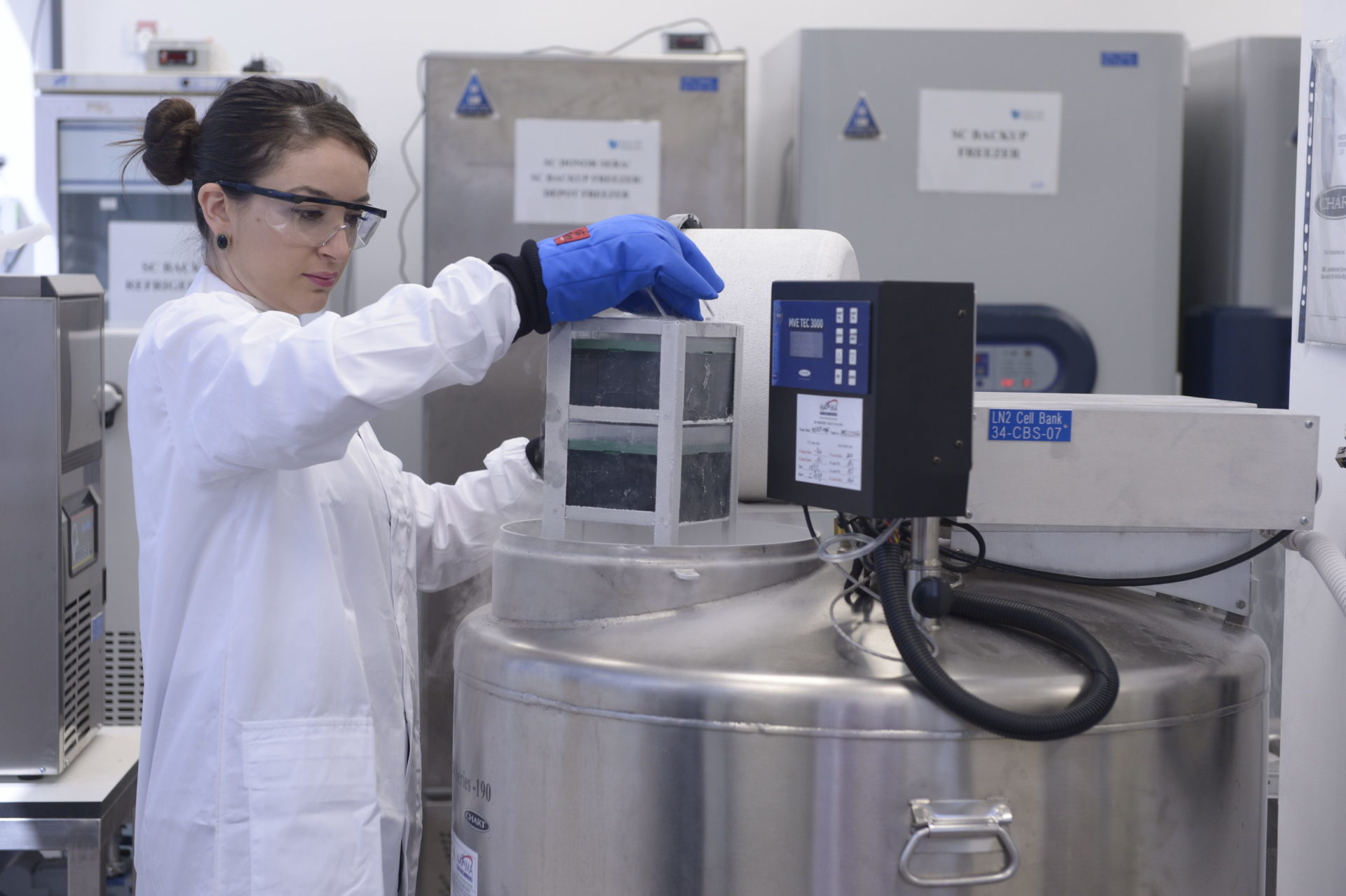 Genetically Modified Muscle Progenitor Cells with Stem Cell Medicine Ltd