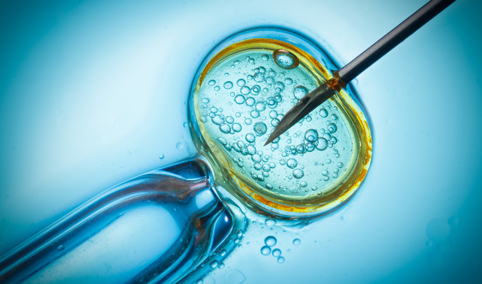 Amazing! Worlds First Baby Born Using Stem Cell IVF Technique - In vitro fertilisation, IVF macro concept