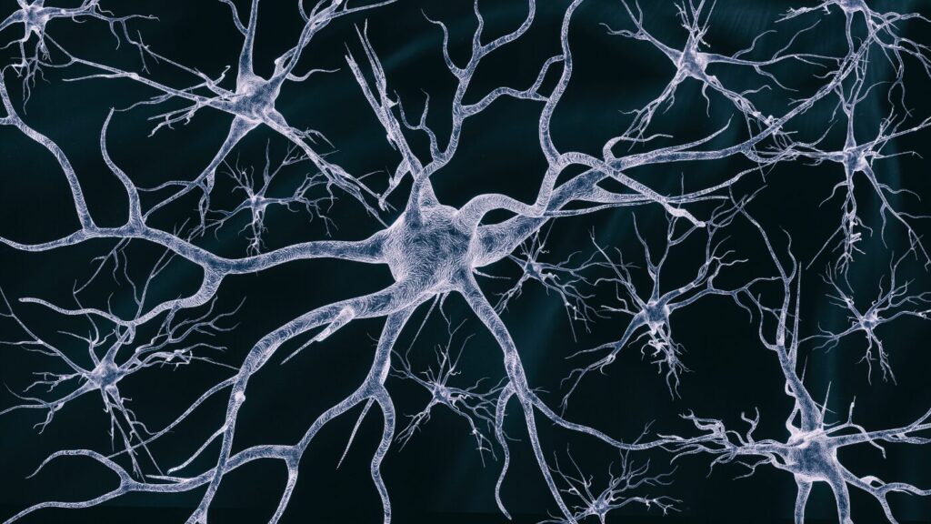 Stem cells for memory and neural repair