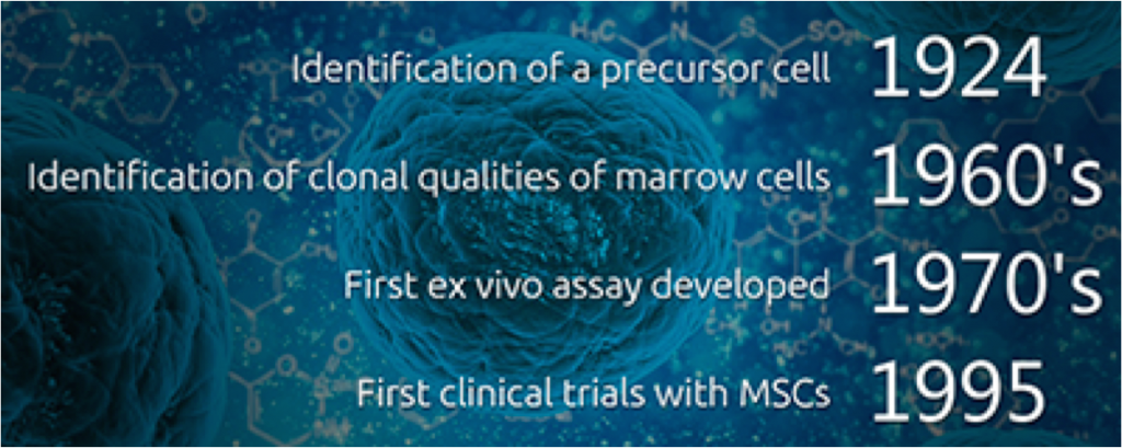 FIGURE. Key Dates in the Discovery of Mesenchymal Stem Cells