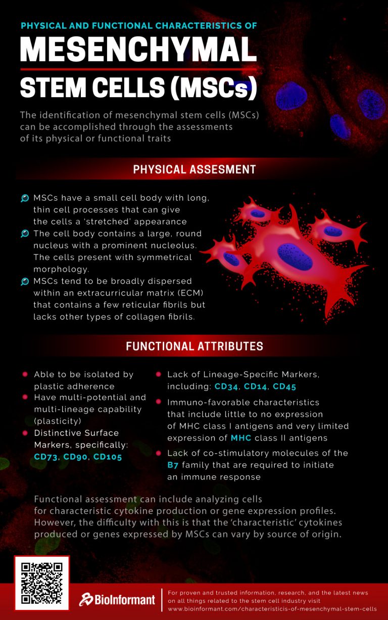 Characteristics Of Stem Cells | Physical Or Functional Traits Of MSCs