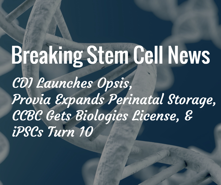 Stem Cell News