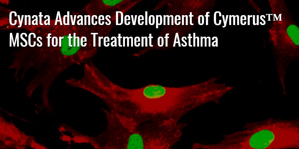 Cynata Preclinical Asthma Model