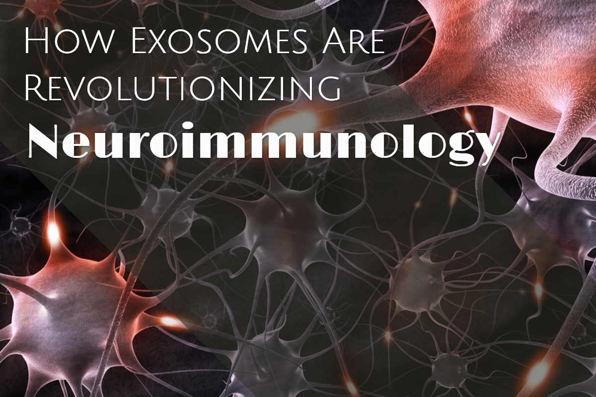 Exosomes - Dr. Pluchino of the Pluchino Lab