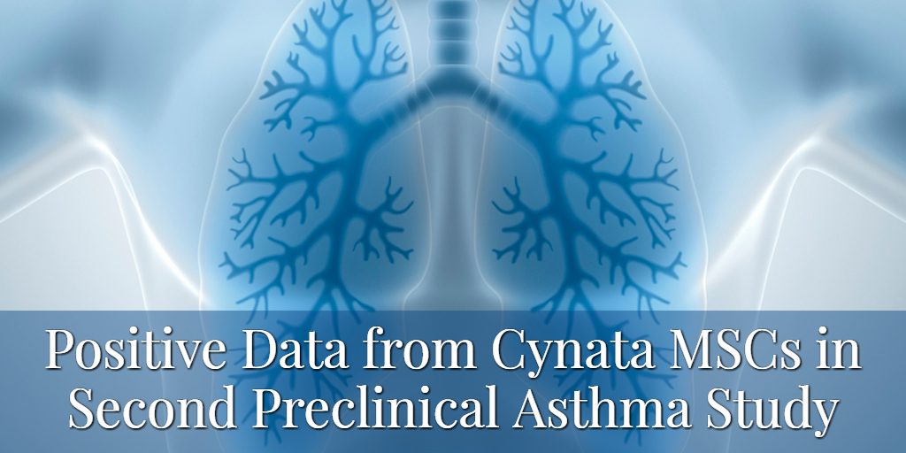 Cynata 2nd Preclinical Asthma Study