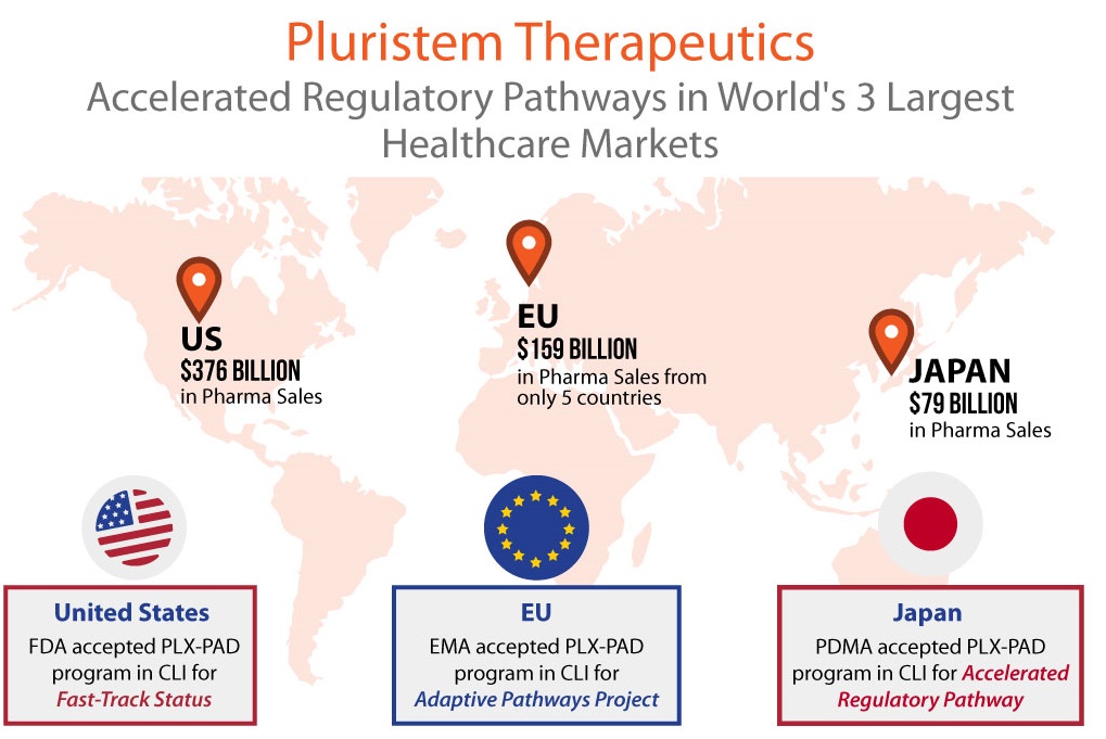 Pluristem, World's 3 Largest Healthcare Markets