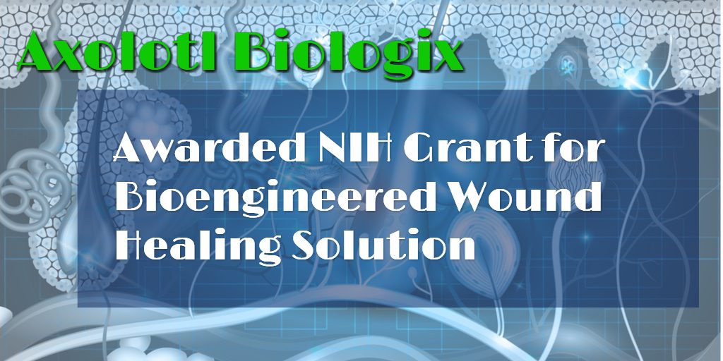 Axolotl Biologix - NIH Grant