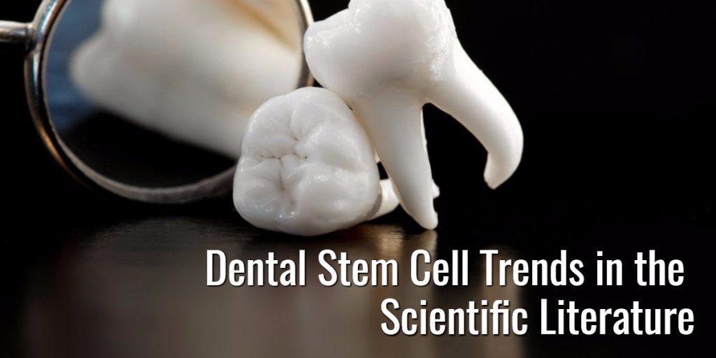 Dental Stem Cell