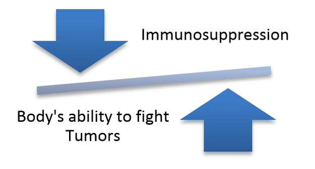 Immunosuppresion Side Effect | The Future of Stem Cell Therapeutics – Balancing Safety and Efficacy
