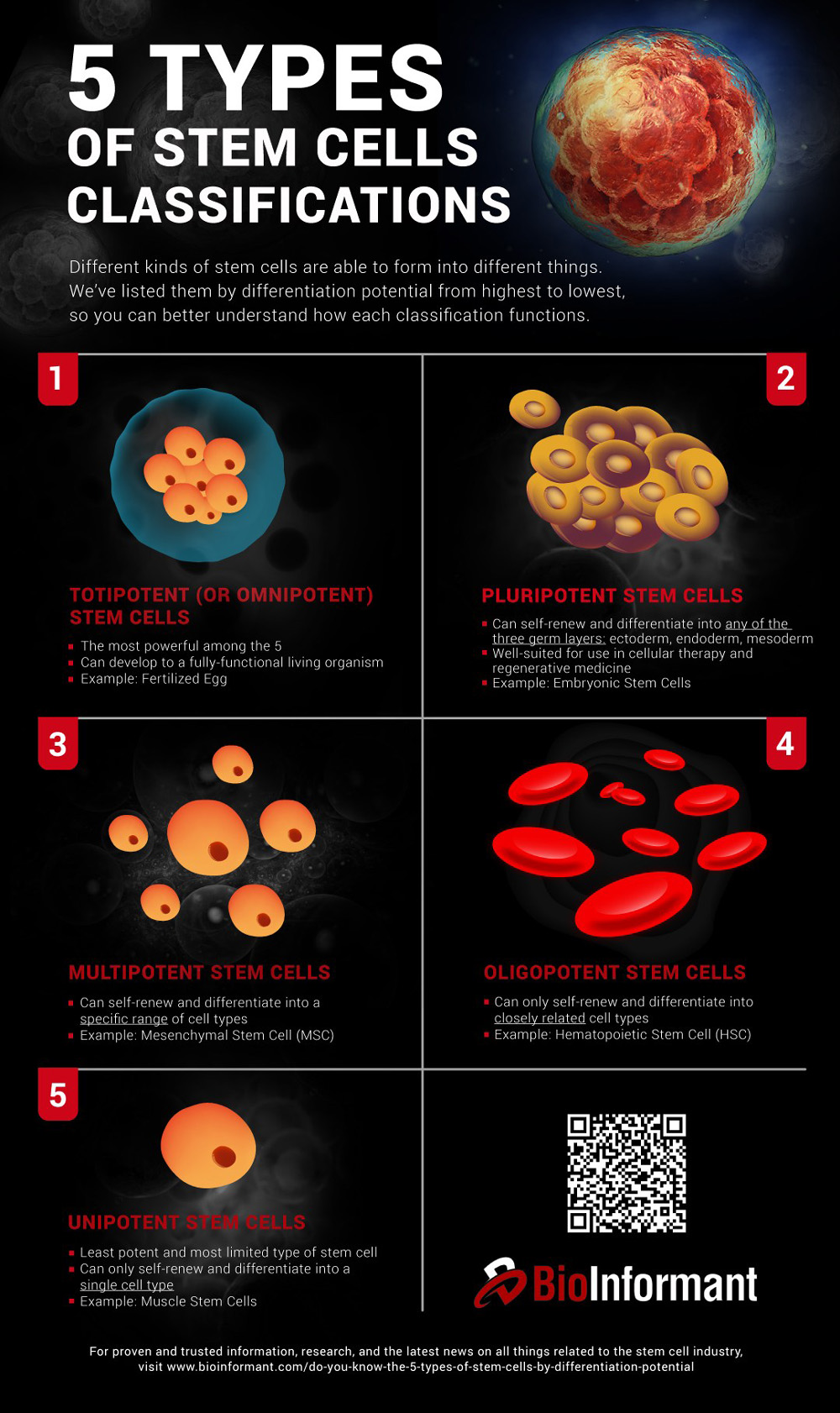 Types of stem cells