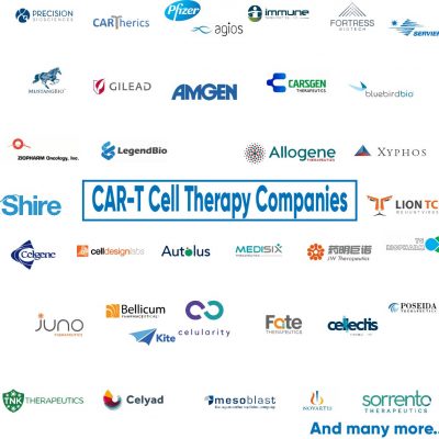Database of CAR-T Cell Therapy Companies (2018) - BioInformant