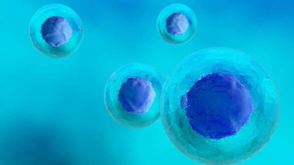 types of stem cell Types of Stem Cell Exosomes