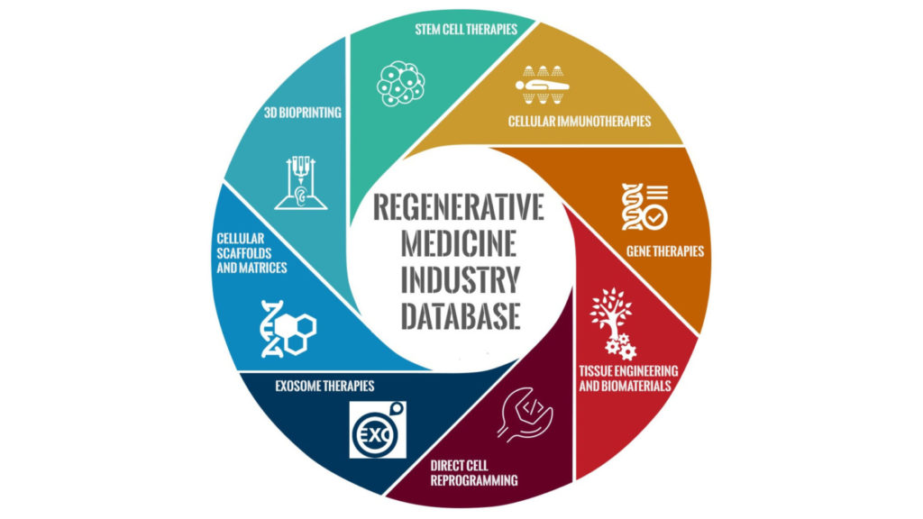 Regenerative Medicine Industry Innovation