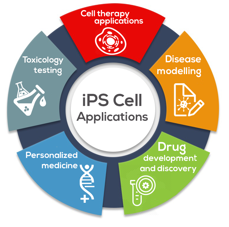 iPS Cell Applications