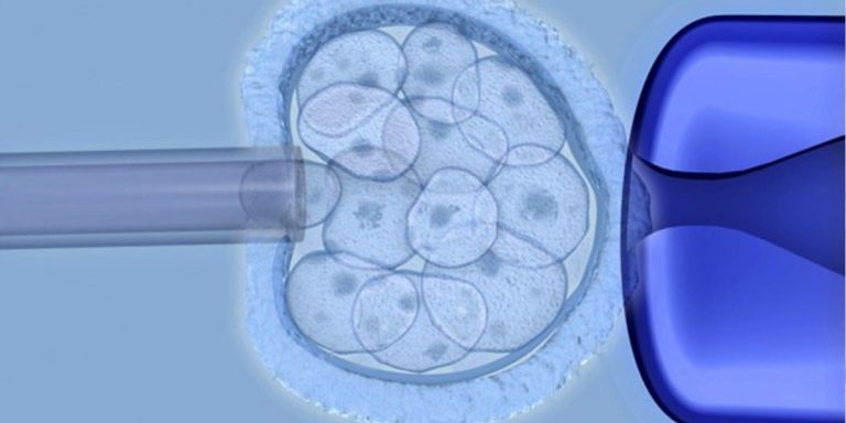 moderna embryonic stem cells