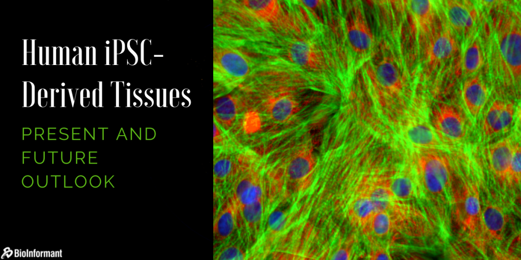 Human iPSC-derived tissues