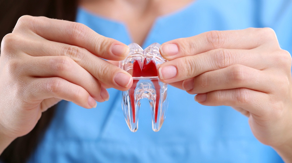 Feature | Stem Cell Fillings Replace The Need For Root Canal Procedure