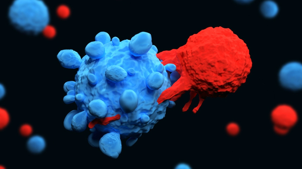 Feature | T Cells For Immune Defense