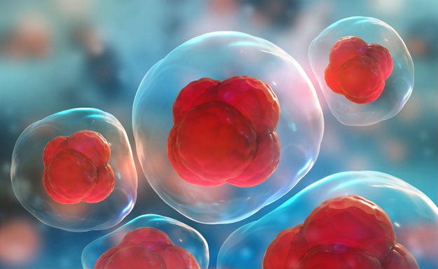 How Has Stem Cells Changed Treatment For Degenerative Diseases | Stem Cells | Everything You Need to Know About Stem Cells