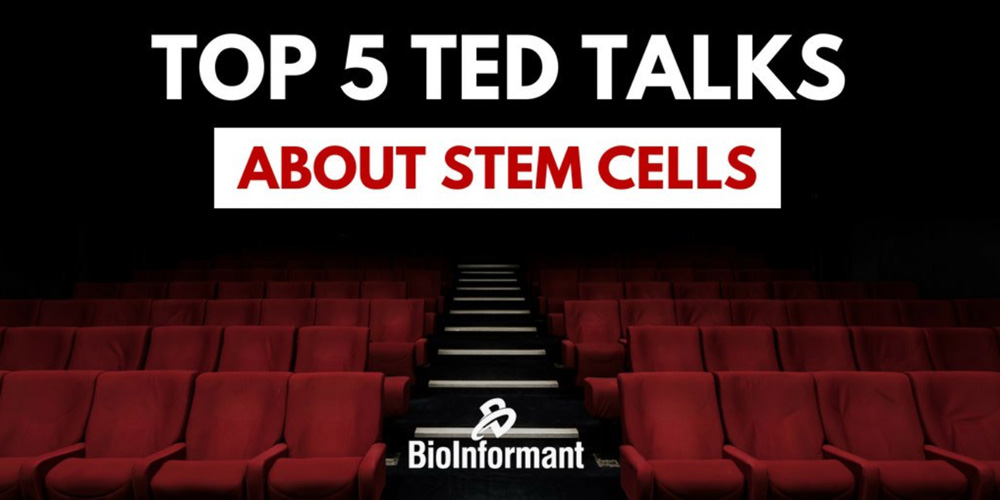 Feature | the best ted talks | Top 5 TED Talks About Stem Cells