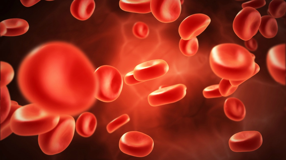 Feature | Stem Cell Therapy as Hemophilia Treatment
