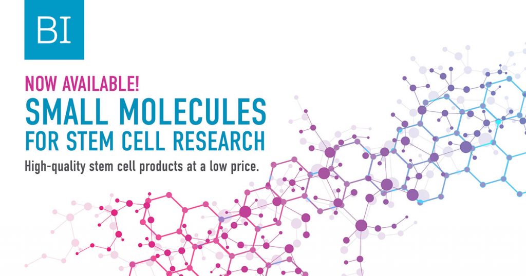 Small molecules for stem cell research