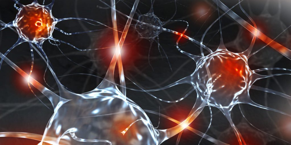 neural stem cells vs neuronal