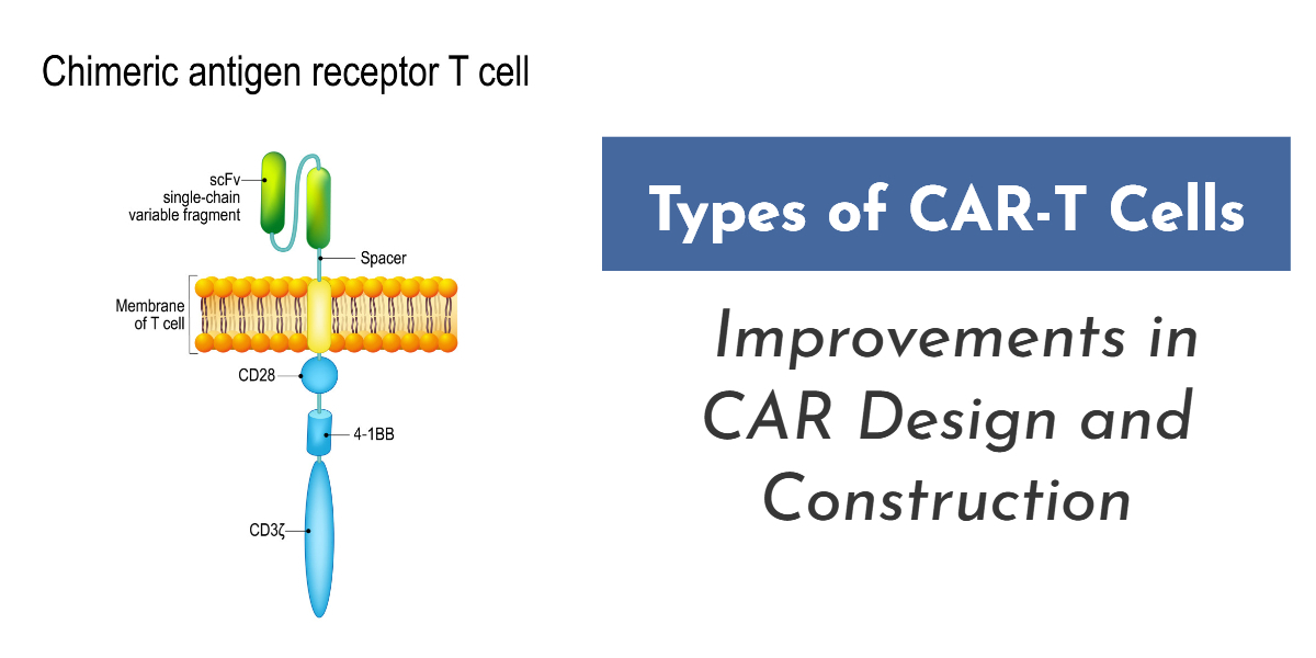 Types of CAR-T Cells