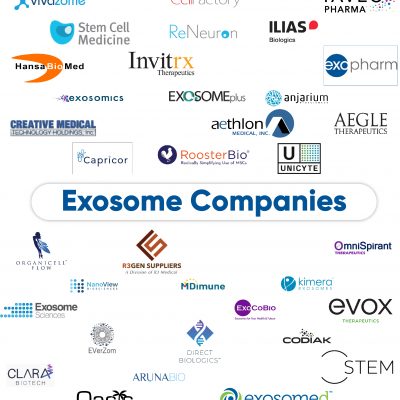 Exosome Companies 2020