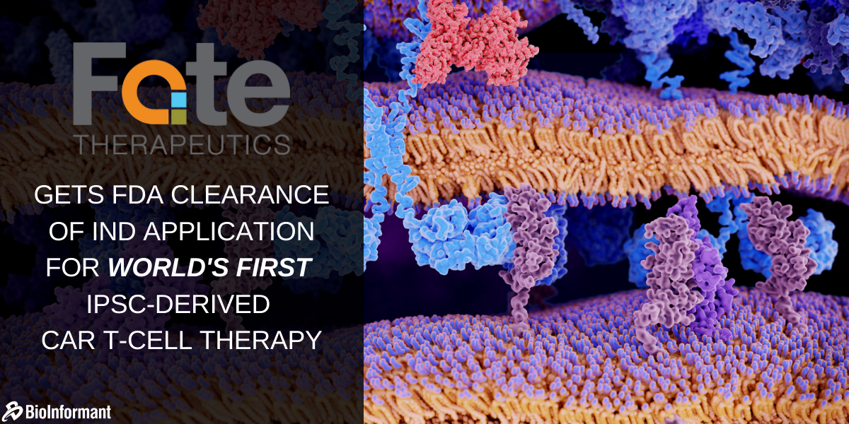 Fate iPSC-derived CAR-T cell therapy