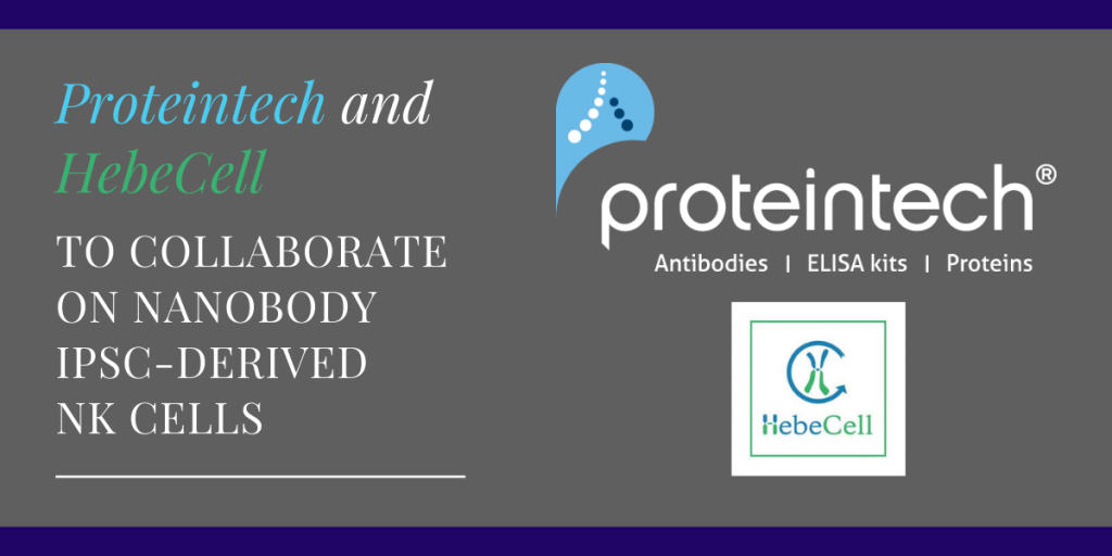 ProteinTech and HebeCell