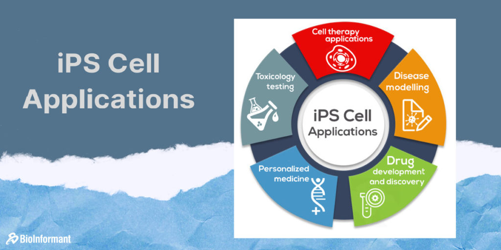 iPS cell applications