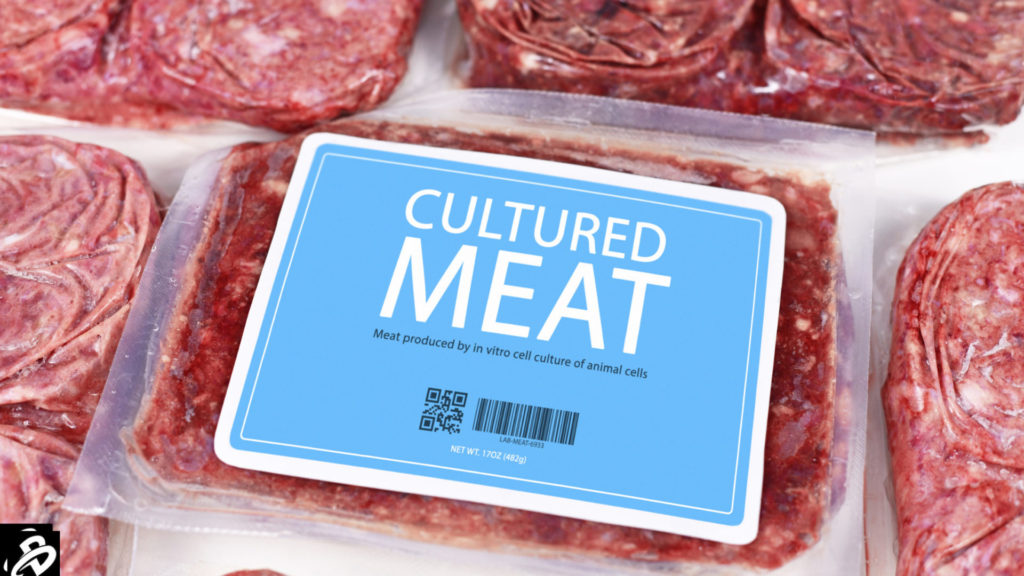Cultured meat industry