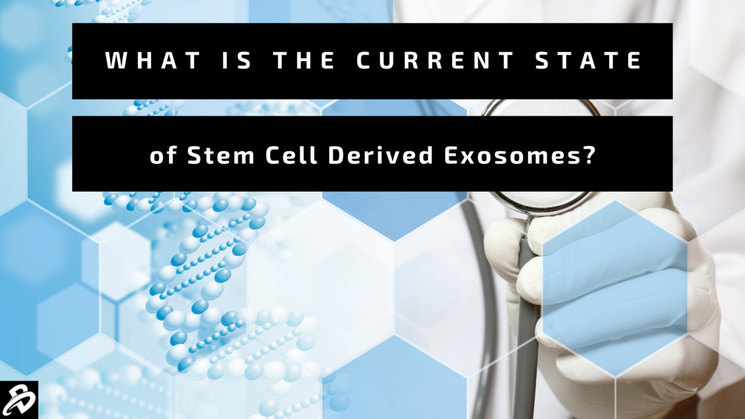 Stem Cell Applications- From Cell Therapy to Drug Development & Beyond