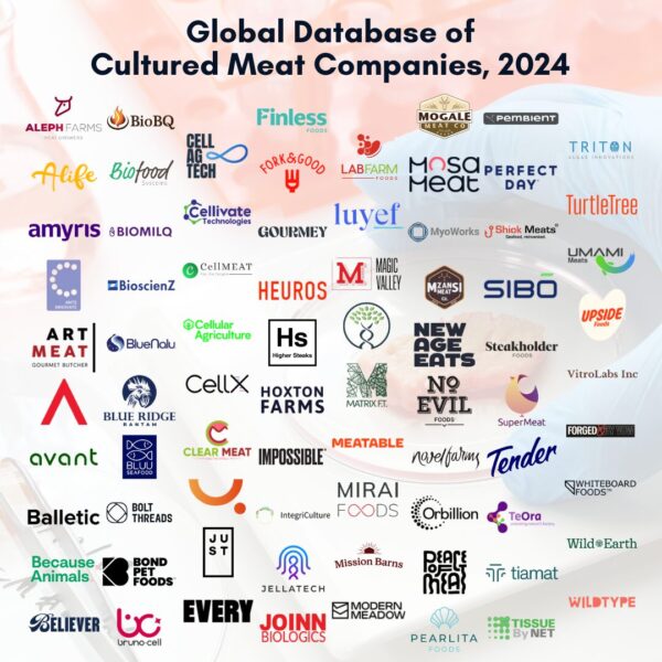 Global Database of Cultured Meat Companies, 2024 - BioInformant