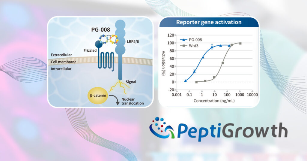 peptigrowth-inc-novel-synthetic-peptide-wnt3a
