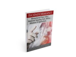 MSC Market Report, 2025