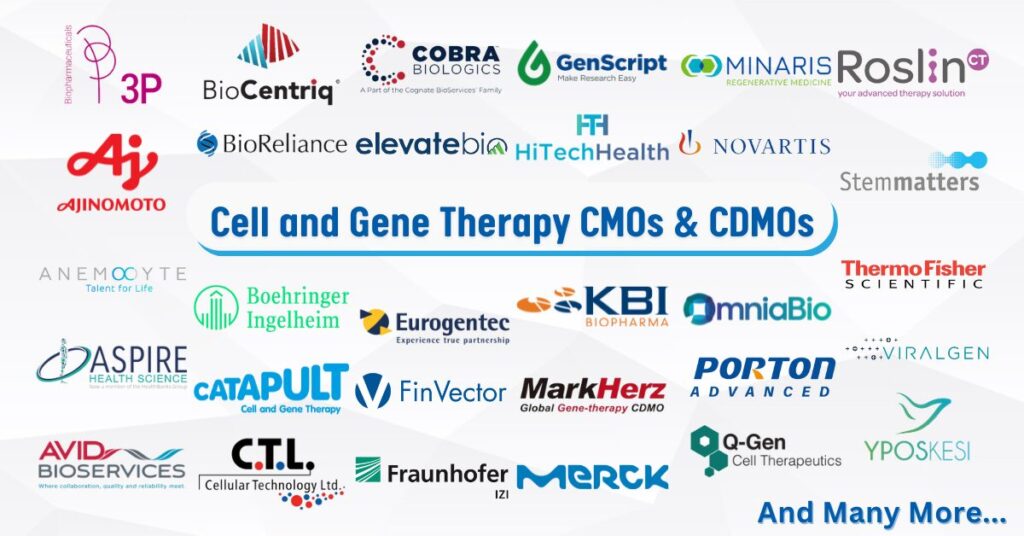 Cell and Gene Therapy CDMOs