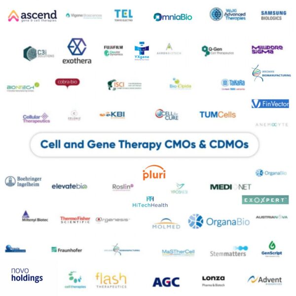 Cell and Gene Therapy CDMOs, 2024