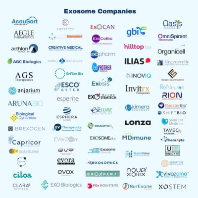 Database of Exosome Companies 2024, BioInformant