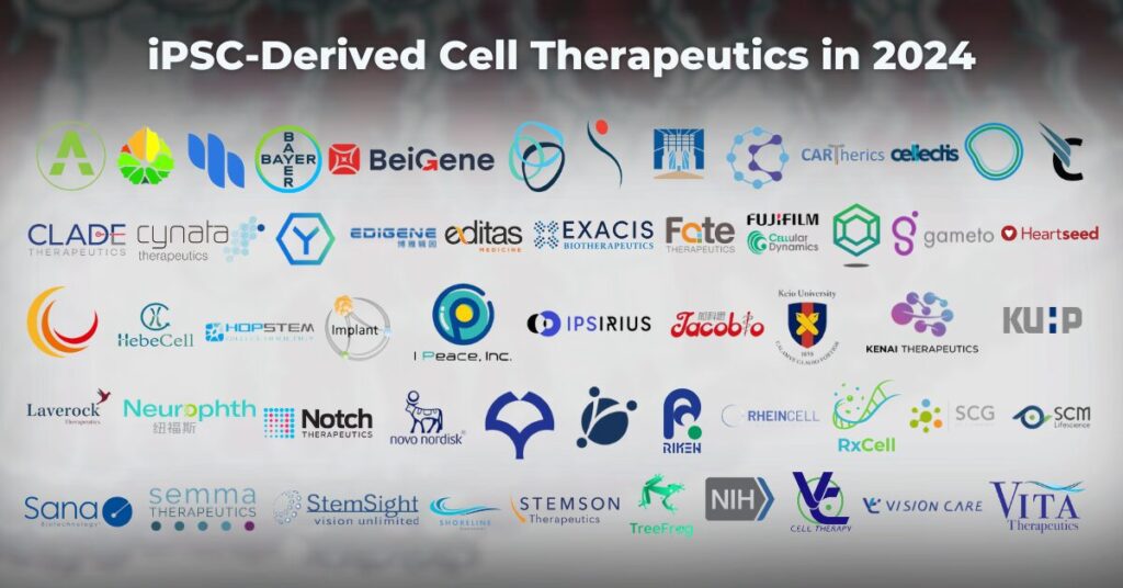 ipsc-derived-cell-therapeutics-2024