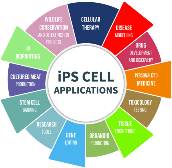 Induced Pluripotent Stem Cell (iPSC) Industry Trends for 2026