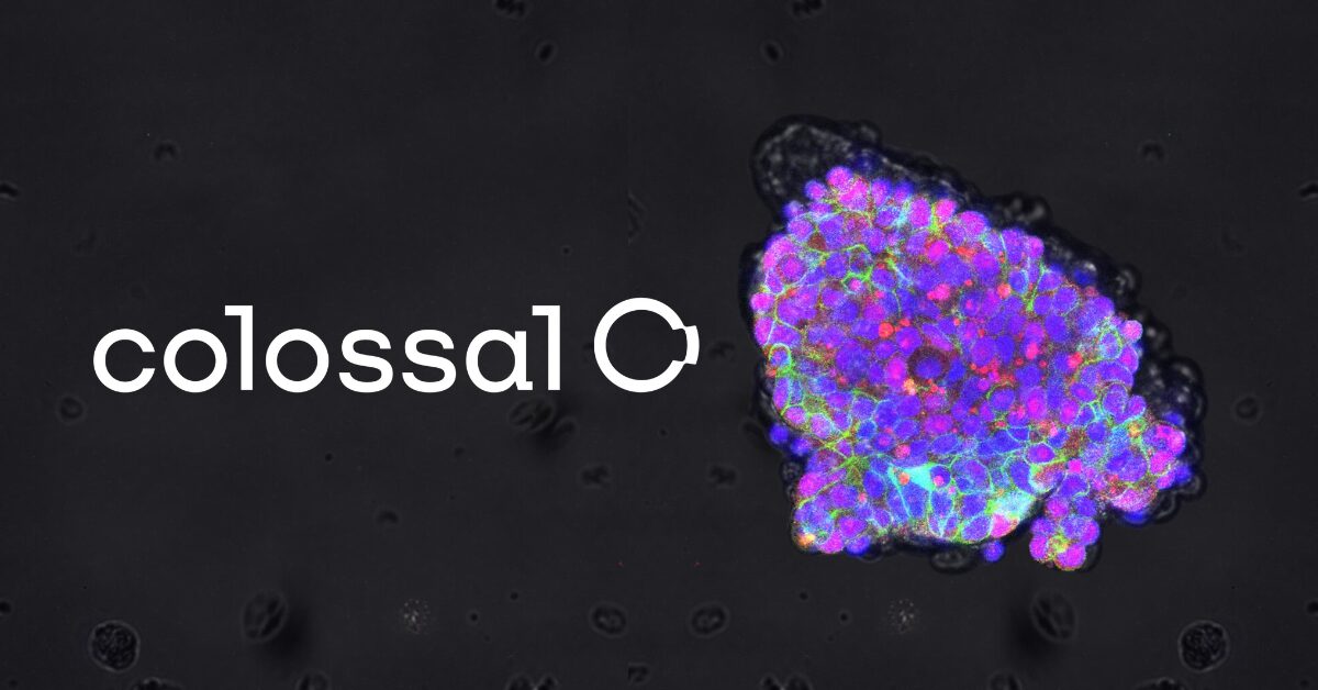 colossal-progress-towards-thylacine-de-extinction