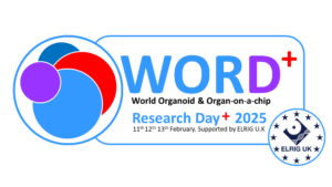 World Organoid Day