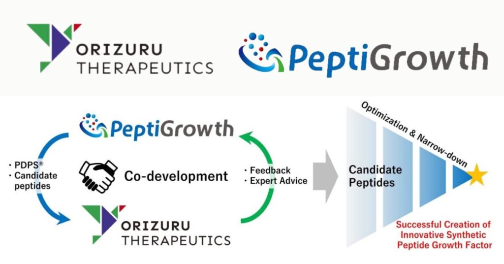 Peptigrowth co-development Orizuru